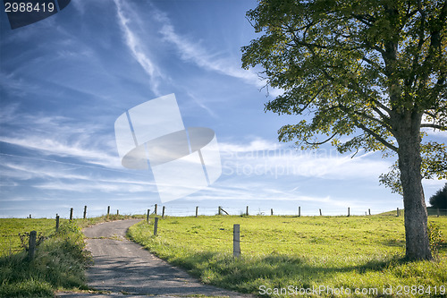 Image of landscape mist