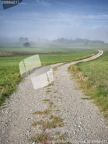 Image of landscape mist