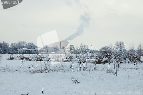 Image of gray winter 