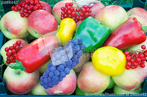 Image of A variety of large ripe fruits and vegetables in the container.