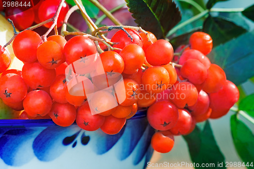 Image of Rowan berries in a beautiful ceramic vase.