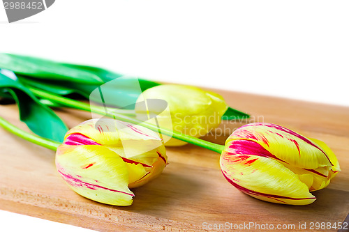 Image of Three bright red tulips on a white background.