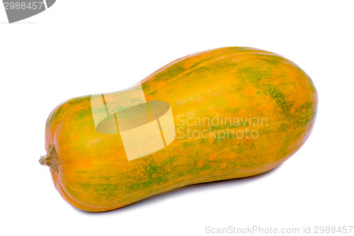 Image of Large ripe pumpkin on a white background.