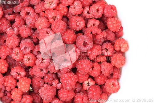 Image of red raspberries background