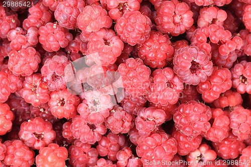 Image of red raspberries background