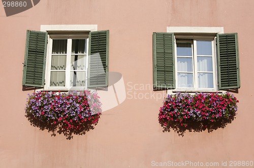 Image of Tyrolese windows