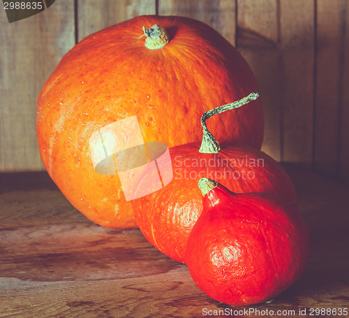 Image of Pumpkins On Grunge Wooden Backdrop Background