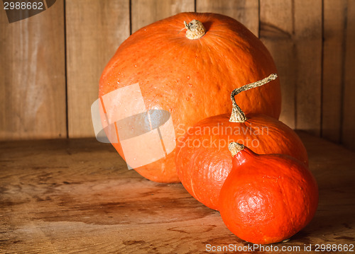 Image of Pumpkins On Grunge Wooden Backdrop Background