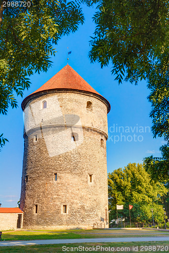 Image of Medieval Tower Kiek-in-de-Kok In Park On Hill Toompea In Tallinn