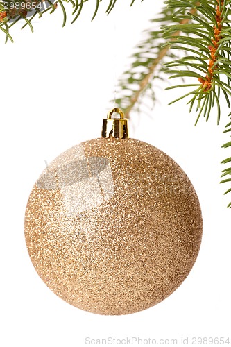 Image of Christmas ball hanging from a branch of a fir tree