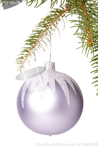 Image of Christmas ball hanging from a branch of a fir tree