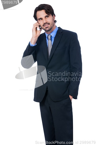 Image of Stylish businessman talking on his mobile phone