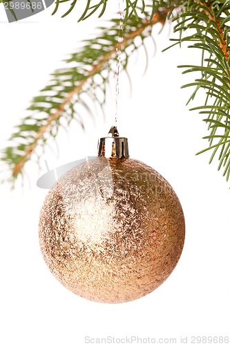 Image of Christmas ball hanging from a branch of a fir tree