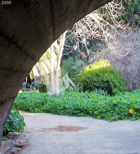 Image of Bridge Nature. Nicosia. Cyprus