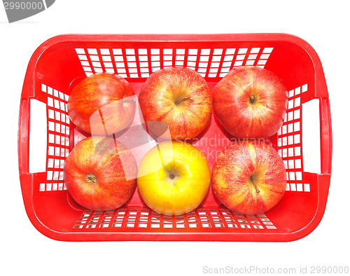 Image of Red Apples