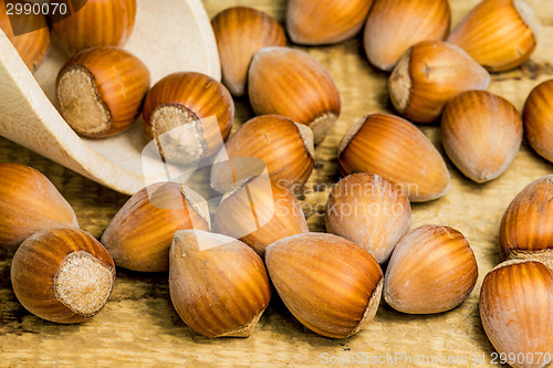 Image of hazelnuts