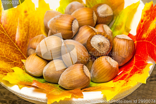 Image of hazelnuts
