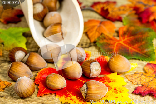 Image of hazelnuts