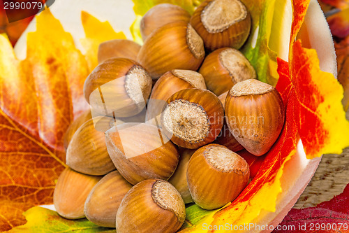 Image of hazelnuts