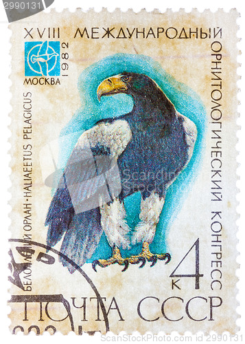 Image of Stamp printed in USSR (Russia) shows a bird Haliaeetus pelagitus