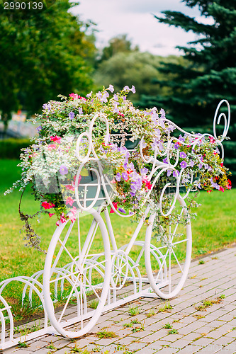 Image of White Decorative Bicycle Parking In Garden 
