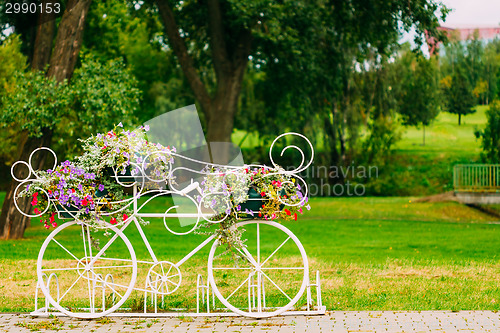 Image of White Decorative Bicycle Parking In Garden 