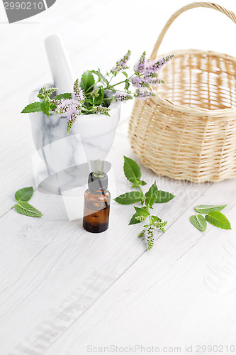 Image of essential oil
