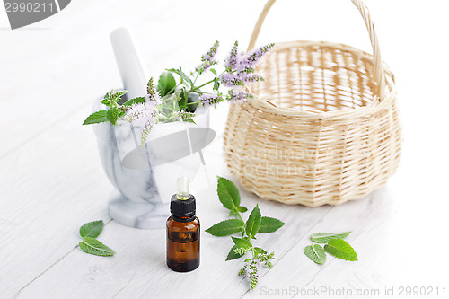 Image of essential oil