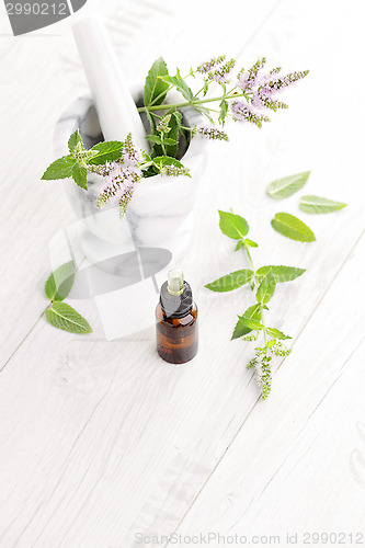 Image of essential oil