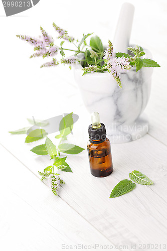 Image of essential oil