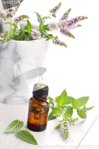 Image of essential oil