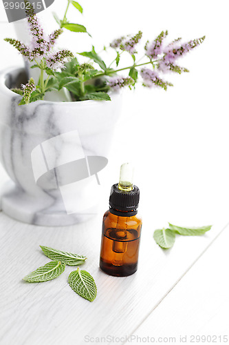 Image of essential oil