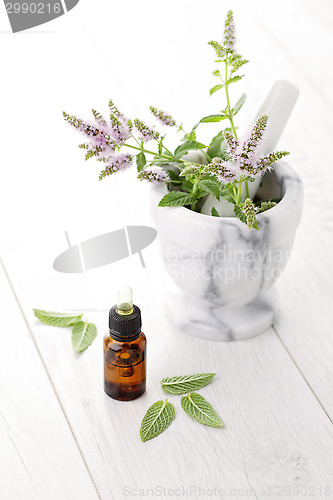 Image of essential oil