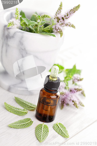 Image of essential oil