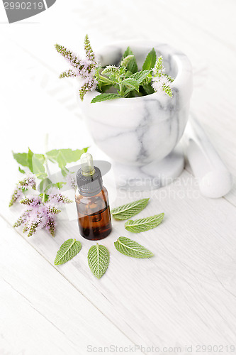 Image of essential oil