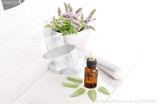 Image of essential oil