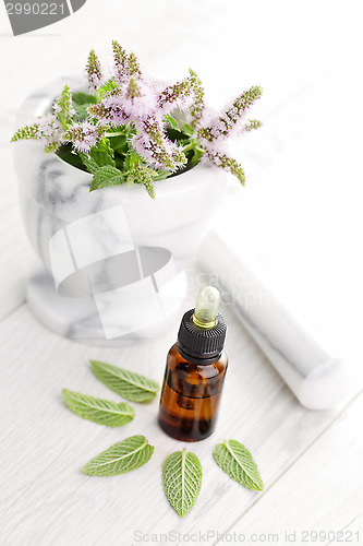 Image of essential oil