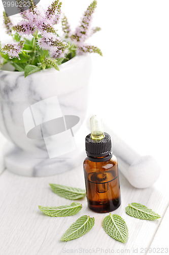 Image of essential oil