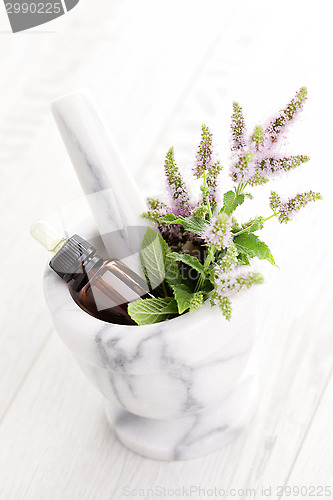 Image of essential oil