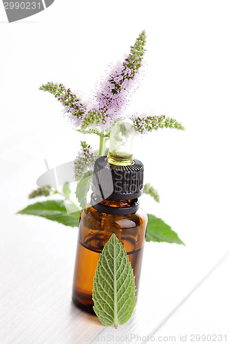 Image of essential oil