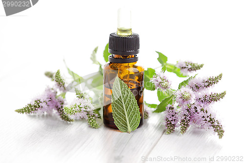 Image of essential oil