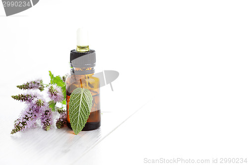 Image of essential oil