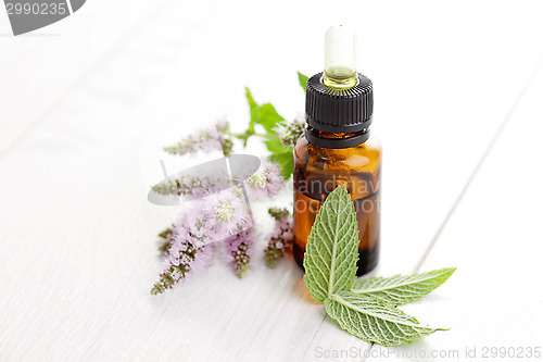 Image of essential oil