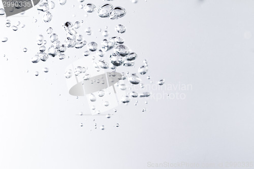 Image of Water bubbles