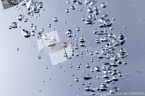 Image of Water bubbles