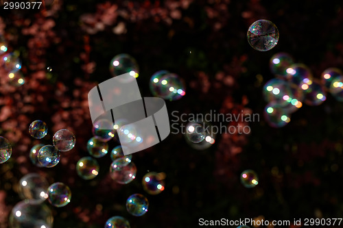 Image of Soap bubbles