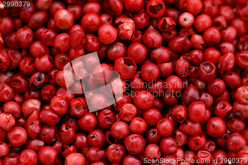 Image of Pink Pepper