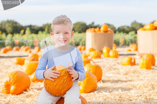 Image of pumpkin patch