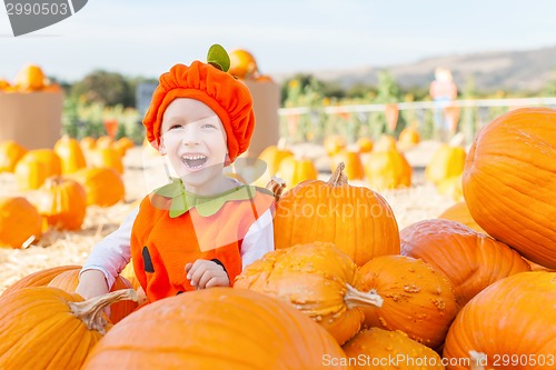 Image of pumpkin patch