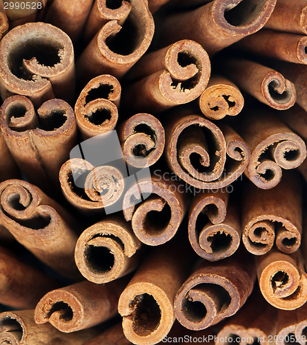 Image of Cinnamon sticks